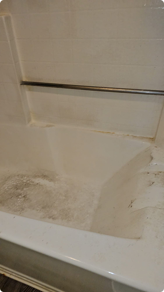 Glass shower and tub cleaned from top to bottom